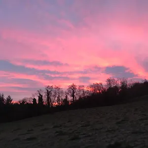 Forest View - Castlewellan Belfast
